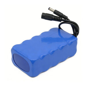 A small rechargeable safety 24v 6000mah lithium-ion battery and a lithium-ion battery charger panel