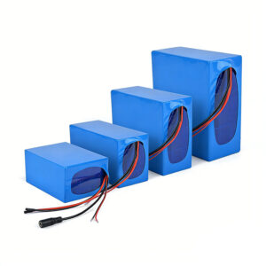 Lifepo4 AGV battery system 6V 72V 60V 24V 12V 48V AGV customized communication heavy-duty transmission lithium-ion batteries